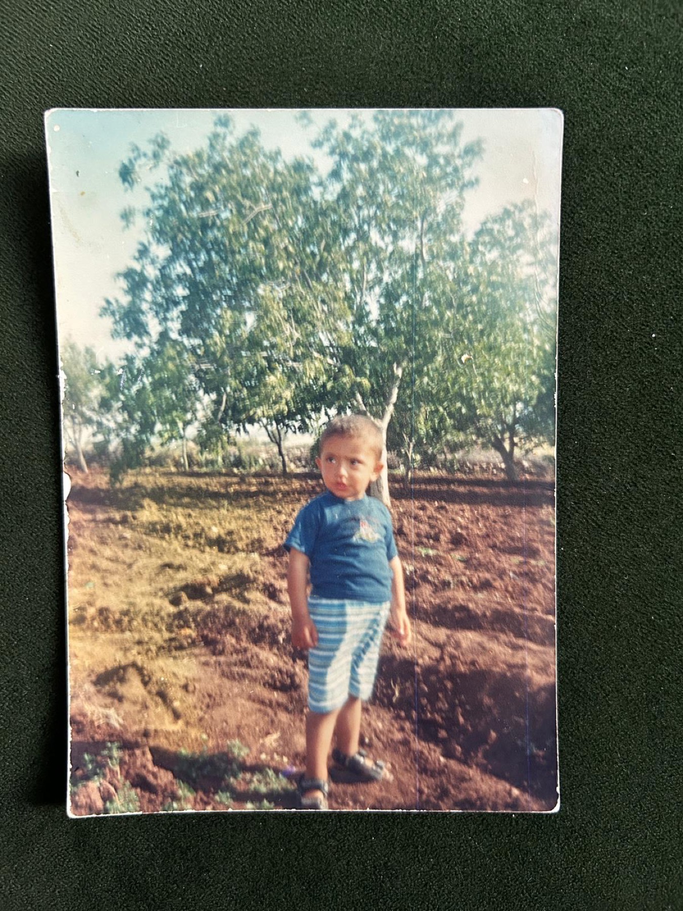 Kindheitsfoto in einer Landschaft mit Bäumen